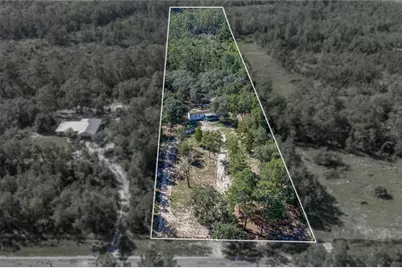 10898 NE 220th Street, Fort Mc Coy, FL 32134 - Photo 3