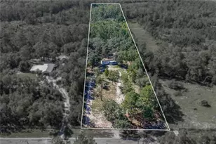 10898 NE 220th St, Fort Mc Coy, FL 32134 - Photo 3