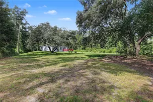 7257 Berry Rd, Zephyrhills, FL 33540 - Photo 3
