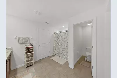 5037 White Chicory Drive, Apollo Beach, FL 33572 - Photo 23