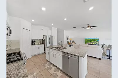 5037 White Chicory Drive, Apollo Beach, FL 33572 - Photo 15