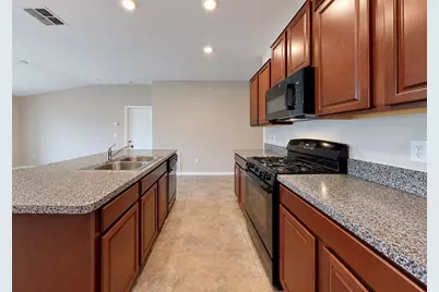5005 White Chicory Drive, Apollo Beach, FL 33572 - Photo 9