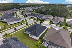 3210 Tour Trce, Land O Lakes, FL 34638 - Photo 73