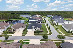 3210 Tour Trce, Land O Lakes, FL 34638 - Photo 77