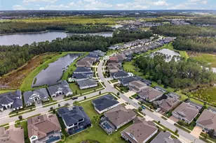 3210 Tour Trce, Land O Lakes, FL 34638 - Photo 79
