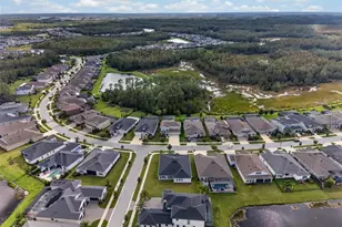 3210 Tour Trce, Land O Lakes, FL 34638 - Photo 81