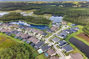 3210 Tour Trce, Land O Lakes, FL 34638 - Photo 83