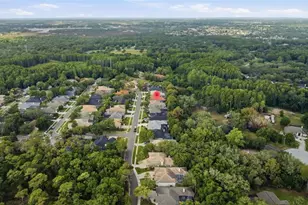 2887 Grey Oaks Blvd, Tarpon Springs, FL 34688 - Photo 67
