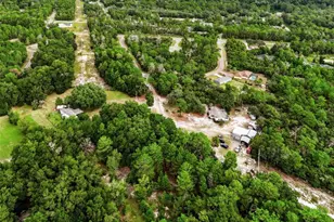 1 Bay Track, Ocklawaha, FL 32179 - Photo 9