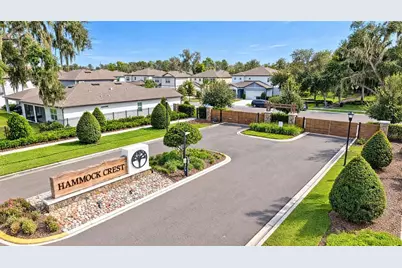 14161 Hammock Crest Way, Riverview, FL 33569 - Photo 3