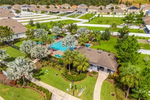 10317 Geese Trail Cir, Ruskin, FL 33573 - Photo 45