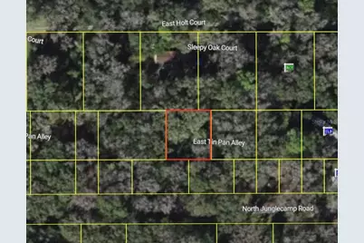 9285 E Tin Pan Alley, Inverness, FL 34453 - Photo 1