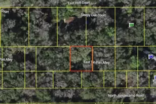 9285 E Tin Pan Alley, Inverness, FL 34453 - Photo 1