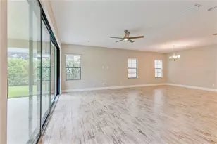 4000 Burdick Loop, Odessa, FL 33556 - Photo 17