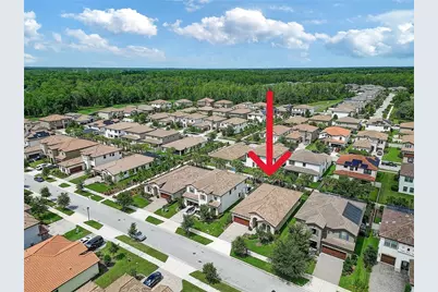 4000 Burdick Loop, Odessa, FL 33556 - Photo 39