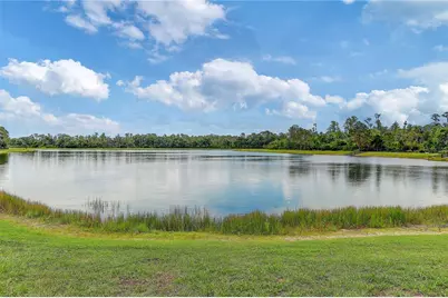 4000 Burdick Loop, Odessa, FL 33556 - Photo 55