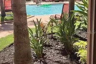 2715 Via Capri, Clearwater, FL 33764 - Photo 19
