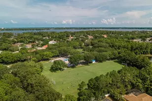 3763 Executive Dr, Palm Harbor, FL 34685 - Photo 77