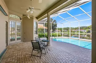 3763 Executive Dr, Palm Harbor, FL 34685 - Photo 53