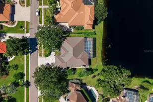 3763 Executive Dr, Palm Harbor, FL 34685 - Photo 63