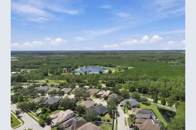 20746 Auburn Leaf Trail, Land O Lakes, FL 34638 - Photo 75