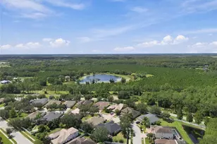 20746 Auburn Leaf Tr, Land O Lakes, FL 34638 - Photo 75