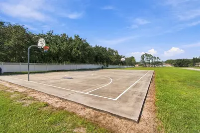 20746 Auburn Leaf Trail, Land O Lakes, FL 34638 - Photo 81