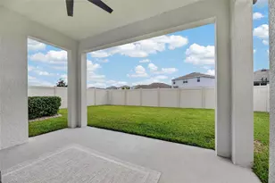 3010 Marine Grass Dr, Wimauma, FL 33598 - Photo 63
