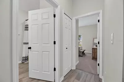 3010 Marine Grass Drive, Wimauma, FL 33598 - Photo 59