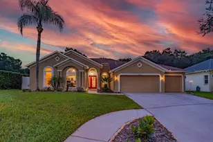 1001 Split Silk St, Valrico, FL 33594 - Photo 43