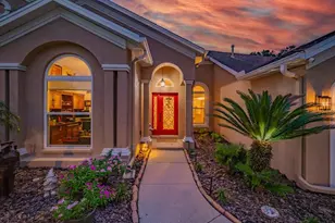 1001 Split Silk St, Valrico, FL 33594 - Photo 43