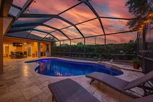 1001 Split Silk St, Valrico, FL 33594 - Photo 49