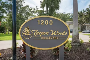 1200 Tarpon Woods Blvd, Palm Harbor, FL 34685 - Photo 3
