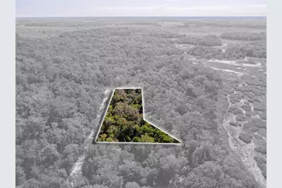 10136 E Tuliptree Drive, Inverness, FL 34450 - Photo 7