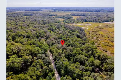 10136 E Tuliptree Drive, Inverness, FL 34450 - Photo 11