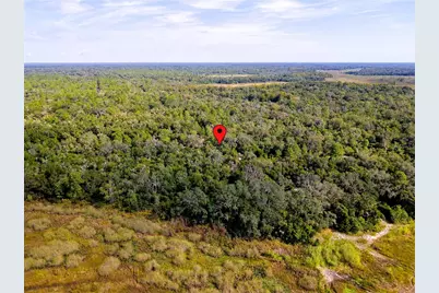 10136 E Tuliptree Drive, Inverness, FL 34450 - Photo 9
