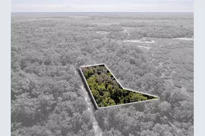 10136 E Tuliptree Drive, Inverness, FL 34450 - Photo 3