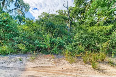 10136 E Tuliptree Drive, Inverness, FL 34450 - Photo 19