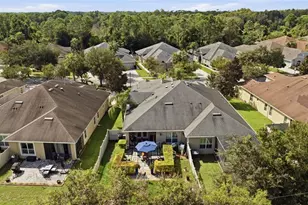 2912 Devonoak Blvd, Land O Lakes, FL 34638 - Photo 55