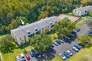 3188 Lake Pine Way S, Tarpon Springs, FL 34688 - Photo 33