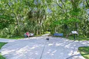 14601 Anchoret Rd, Tampa, FL 33618 - Photo 23