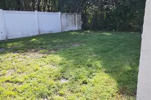2501 Irene St, Lutz, FL 33549 - Photo 25