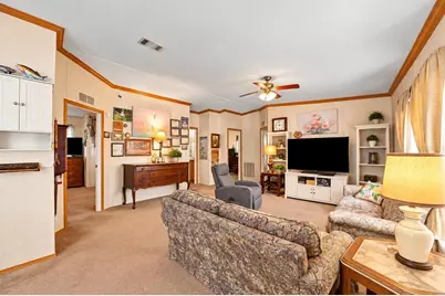 804 River View Lane, Tarpon Springs, FL 34689 - Photo 7