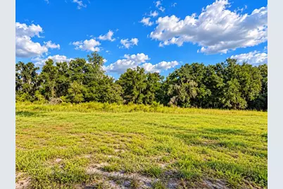 20901 Lonesome Acre Road, Wimauma, FL 33598 - Photo 19
