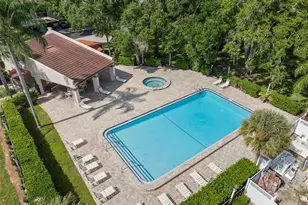 3505 Tarpon Woods Blvd, Palm Harbor, FL 34685 - Photo 29