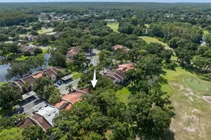 3505 Tarpon Woods Blvd, Palm Harbor, FL 34685 - Photo 31