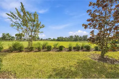 31564 Woodland Race Loop, Wesley Chapel, FL 33545 - Photo 47