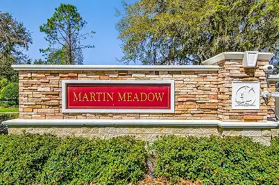 6002 Martinglade Place, Lithia, FL 33547 - Photo 53