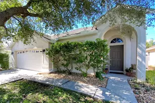 4041 Langdrum Dr, Wesley Chapel, FL 33543 - Photo 1