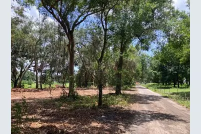 Donna Lu Drive, Odessa, FL 33556 - Photo 13